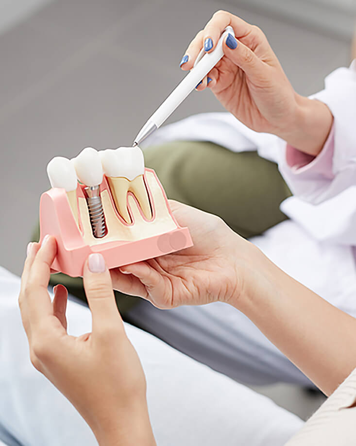 dental patient examining a model of a dental implant